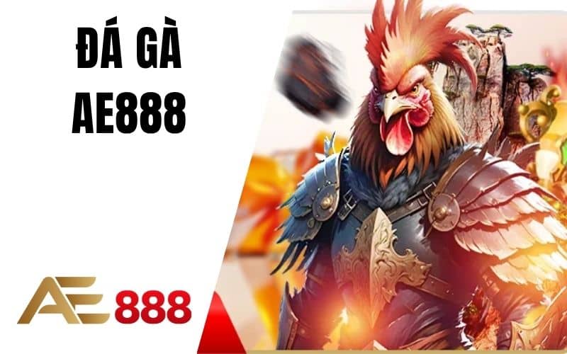 Da-ga-AE888-cho-phep-nguoi-choi-theo-doi-va-ca-cuoc-da-ga AE888