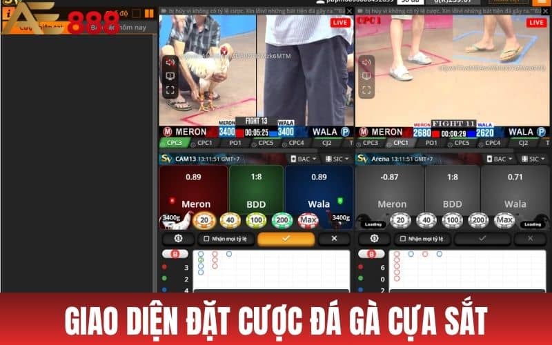 Đá gà mạng – Giao diện theo kèo và trận đấu trực tuyến